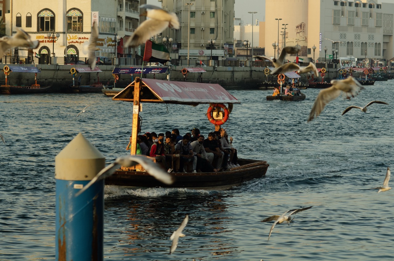 Превью Dubai 2022